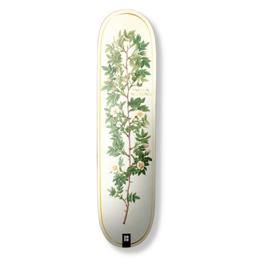 Bloom Mcclung 8.0"x31.33" Plan B Skateboard Deck