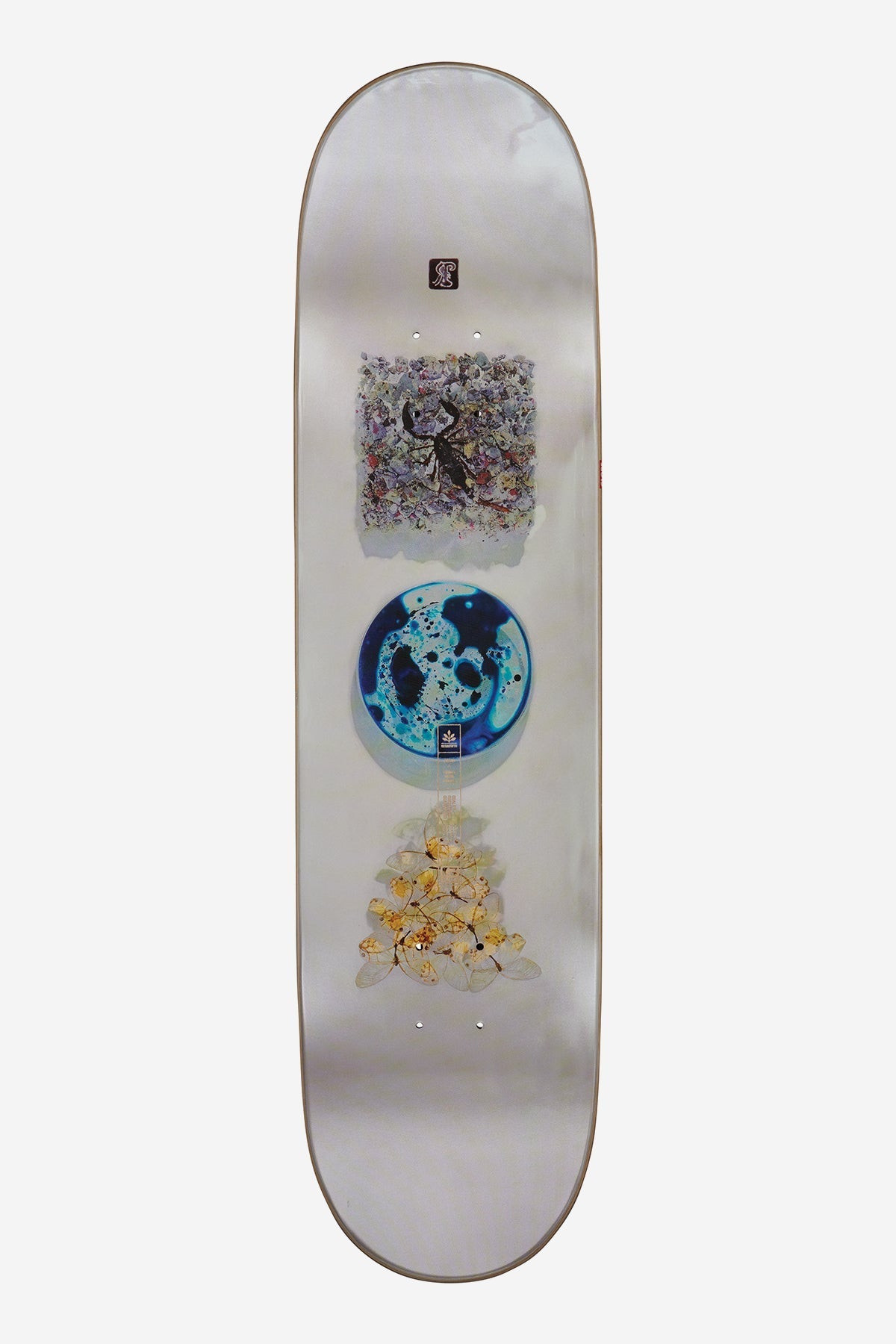 Globe G2 Rholtsu 8.25" skateboard deck - SkatebruhSG