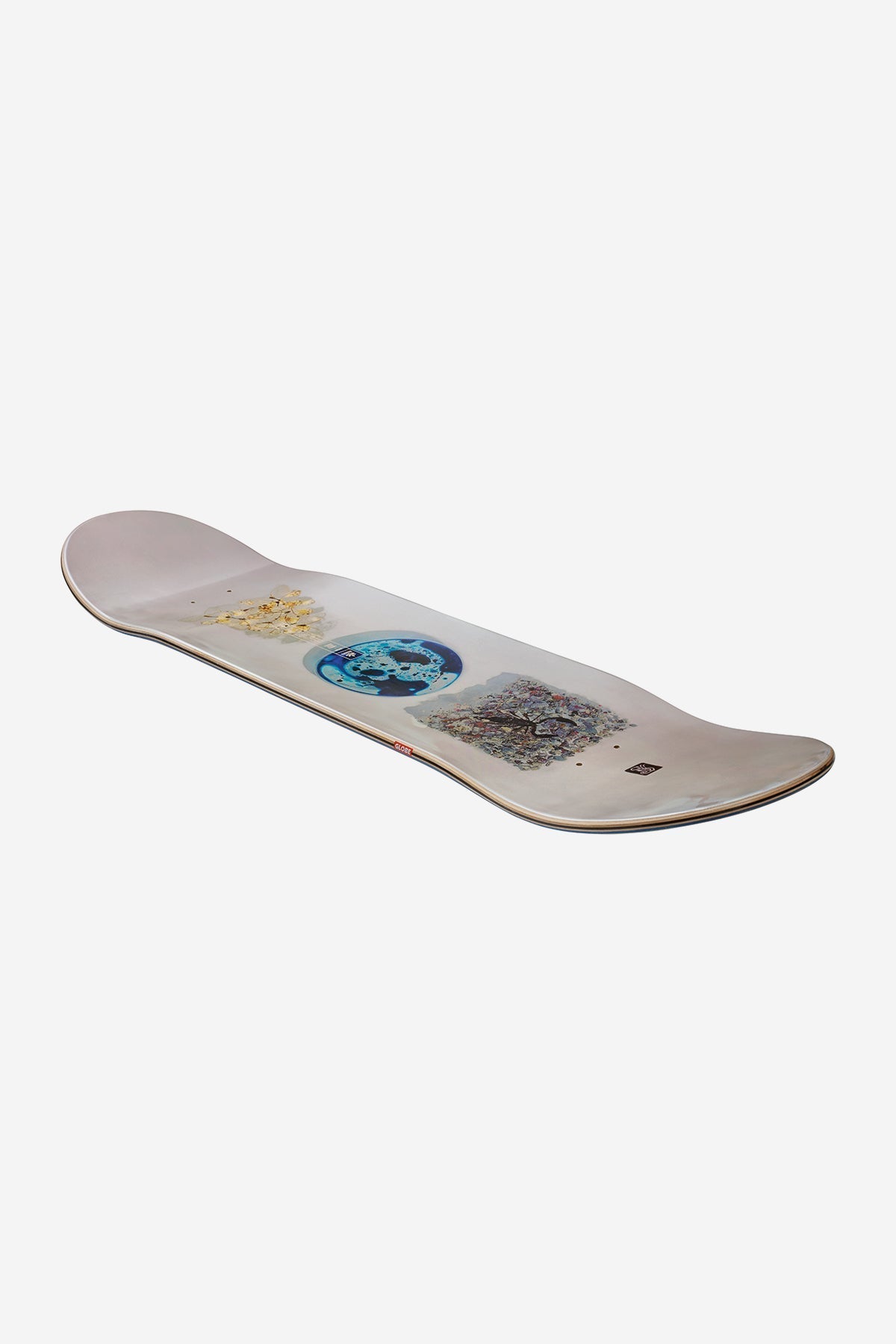 Globe G2 Rholtsu 8.25" skateboard deck - SkatebruhSG