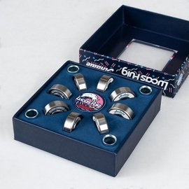 Andale Lucas Pro Skateboard Bearings - SkatebruhSG