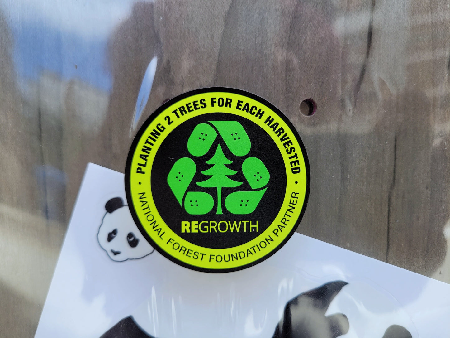 Enjoi Peekaboo Panda 8.0" skateboard deck - Custom Skateboard Builder - SkatebruhSG
