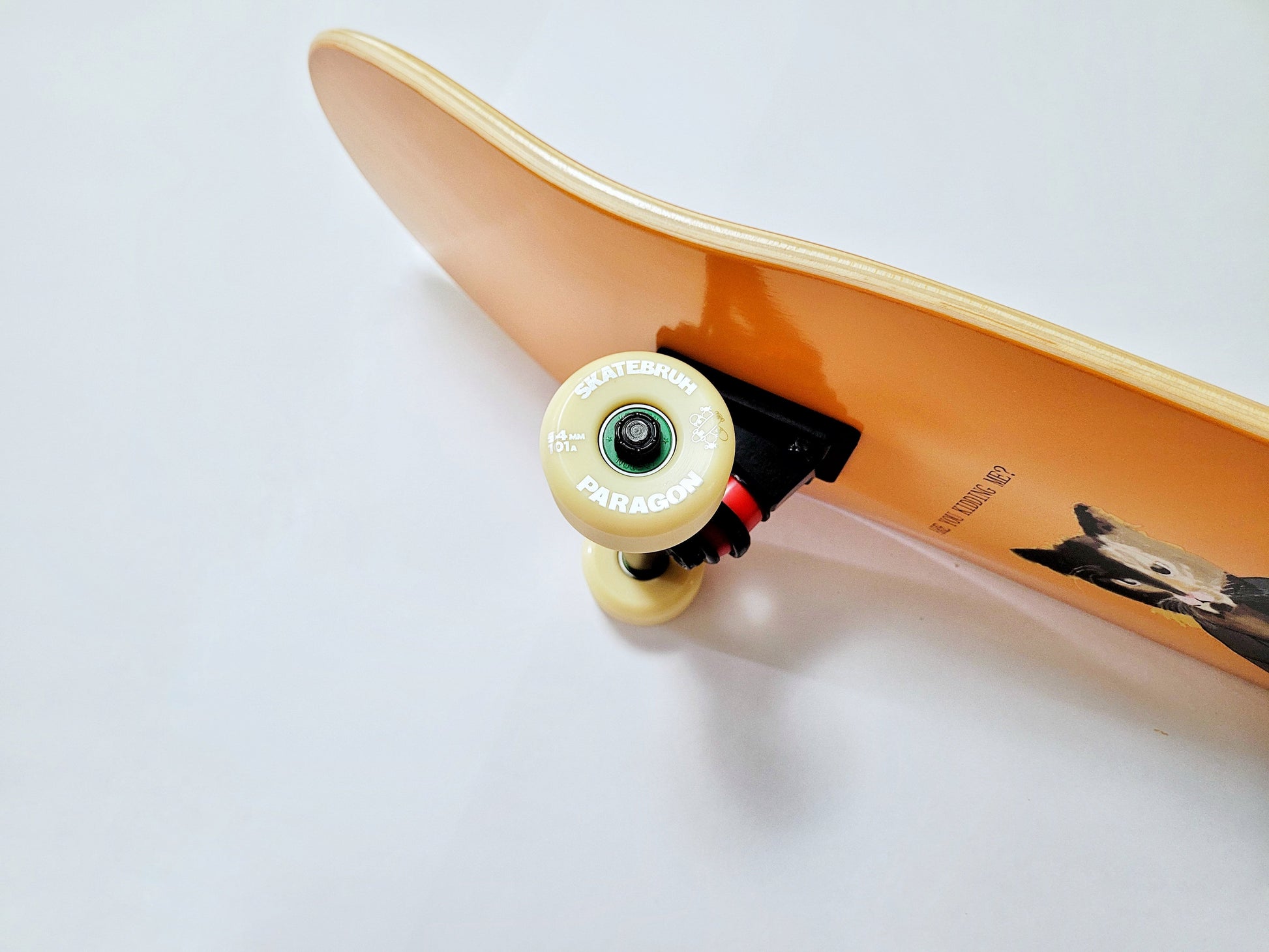 Koston 'Are you kidding me' Skateboard - SkatebruhSG