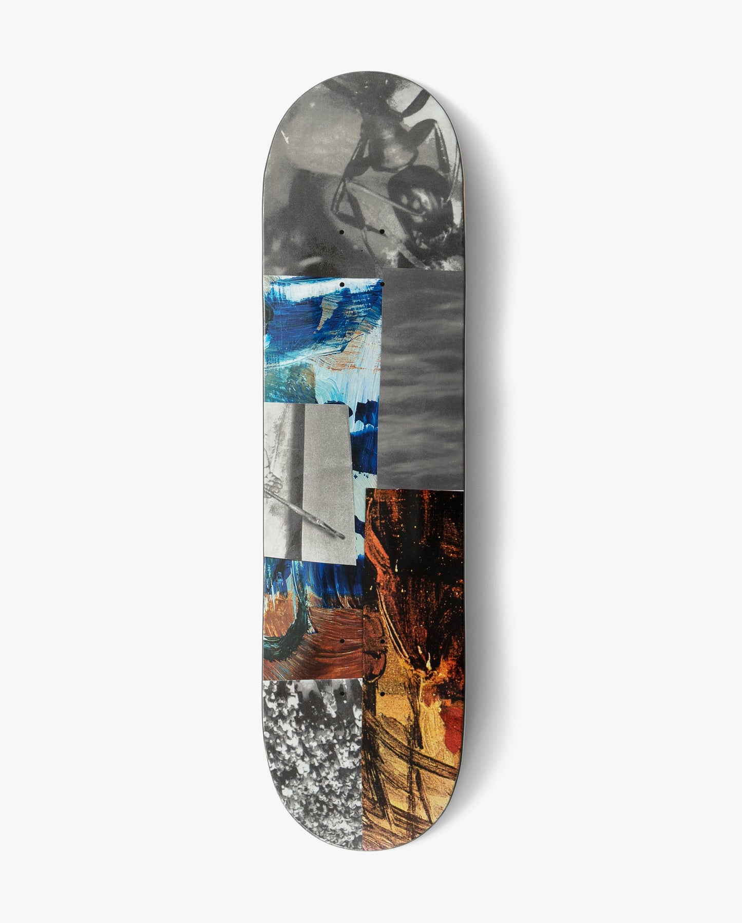 Poetic Archive Insect Skateboard Deck - SkatebruhSG