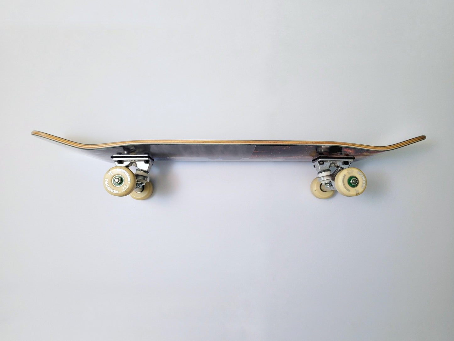 Poetic Collective 'Archive Insect' skateboard - SkatebruhSG