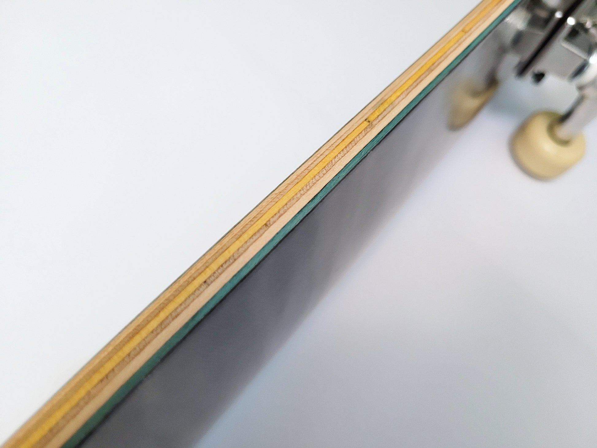 Poetic Collective 'Archive Insect' skateboard - SkatebruhSG