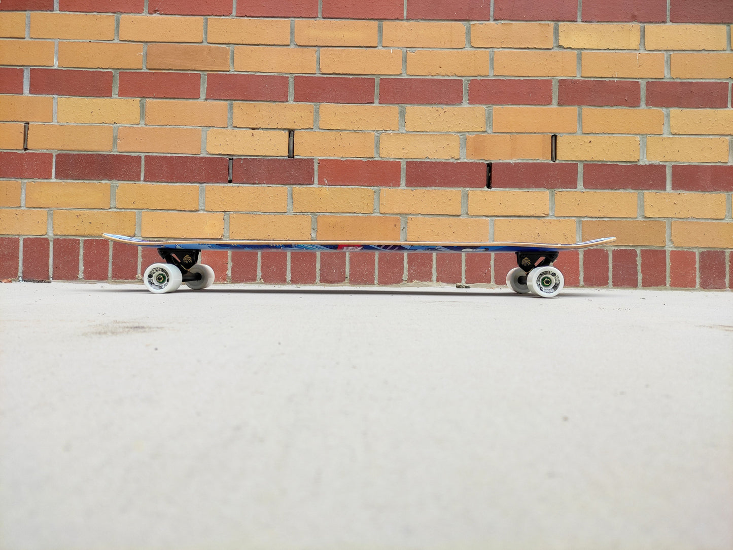 Rebirth 44.5" Skate Warehouse longboard - SkatebruhSG Singapore Skateshop