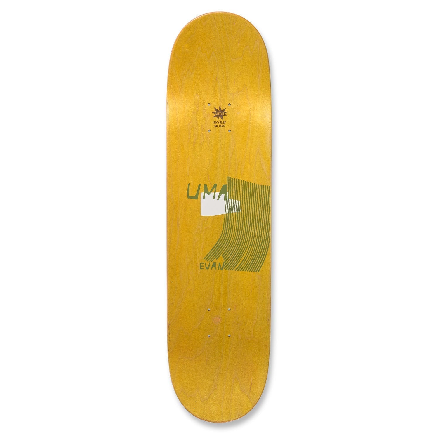 UMA 'Undercurrent Evan' 8.25" skateboard deck - SkatebruhSG